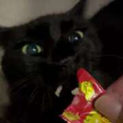 ヒメ日記 2025/07/16 22:25 投稿 ゆりあ ファッションヘルス カリスマ