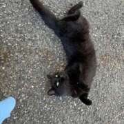 ヒメ日記 2025/08/15 17:09 投稿 ゆりあ ファッションヘルス カリスマ