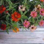 ヒメ日記 2025/11/13 22:15 投稿 ゆりあ ファッションヘルス カリスマ