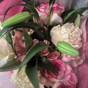 ヒメ日記 2025/11/23 21:35 投稿 ゆりあ ファッションヘルス カリスマ