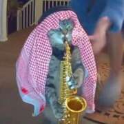 ヒメ日記 2025/11/24 11:45 投稿 ゆりあ ファッションヘルス カリスマ