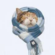 ヒメ日記 2025/12/12 23:05 投稿 ゆりあ ファッションヘルス カリスマ