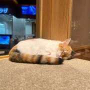 ヒメ日記 2026/03/03 15:05 投稿 ゆりあ ファッションヘルス カリスマ