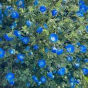 ヒメ日記 2026/03/21 20:58 投稿 ゆりあ ファッションヘルス カリスマ