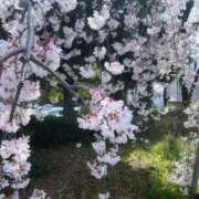 ヒメ日記 2026/04/05 16:05 投稿 ゆりあ ファッションヘルス カリスマ