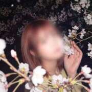 ヒメ日記 2026/04/06 14:15 投稿 ゆりあ ファッションヘルス カリスマ