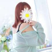 ヒメ日記 2026/04/14 12:45 投稿 ゆりあ ファッションヘルス カリスマ