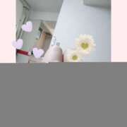 ヒメ日記 2025/09/06 16:02 投稿 白井なな 五十路マダム 徳島店