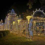 白井なな 出勤のお知らせです♪ 五十路マダム 徳島店