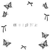 ヒメ日記 2024/09/13 16:00 投稿 ユカ 厚木オイルリンパ性感　厚木メンズエステm