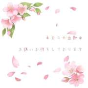 ヒメ日記 2025/04/04 15:00 投稿 ユカ 厚木オイルリンパ性感　厚木メンズエステm