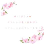 ヒメ日記 2025/04/12 16:00 投稿 ユカ 厚木オイルリンパ性感　厚木メンズエステm