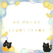 ヒメ日記 2025/04/29 13:30 投稿 ユカ 厚木オイルリンパ性感　厚木メンズエステm