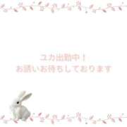 ヒメ日記 2026/04/09 16:00 投稿 ユカ 厚木オイルリンパ性感　厚木メンズエステm