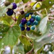 ヒメ日記 2025/10/22 13:45 投稿 夏目 即プレイ専門店 変態人妻サークル 古川店