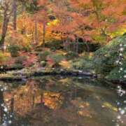 ヒメ日記 2025/10/31 09:25 投稿 夏目 即プレイ専門店 変態人妻サークル 古川店