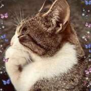 ヒメ日記 2025/11/07 20:20 投稿 夏目 即プレイ専門店 変態人妻サークル 古川店