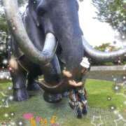 夏目 夏目、大きい。 即プレイ専門店 変態人妻サークル 古川店