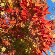 夏目 なつめ、日曜。 即プレイ専門店 変態人妻サークル 古川店