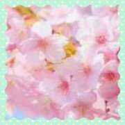 ヒメ日記 2026/04/03 19:40 投稿 米倉未来(よねくらみらい) 五十路マダムエクスプレス厚木店(カサブランカグループ)