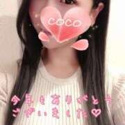 ヒメ日記 2024/12/31 14:44 投稿 ココ VIP