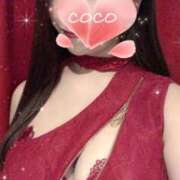 ヒメ日記 2025/01/31 19:03 投稿 ココ VIP