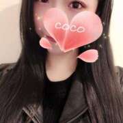 ヒメ日記 2025/03/12 20:13 投稿 ココ VIP