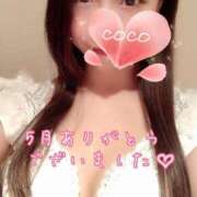 ヒメ日記 2025/05/31 11:04 投稿 ココ VIP