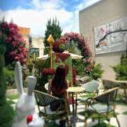 ヒメ日記 2025/09/17 19:03 投稿 ココ VIP