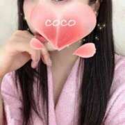 ヒメ日記 2025/12/18 11:13 投稿 ココ VIP