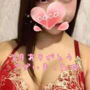 ココ おやすみします【3月予定表】 VIP