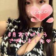 ヒメ日記 2026/03/31 10:13 投稿 ココ VIP