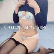 ヒメ日記 2025/02/19 14:57 投稿 まりな One More奥様　横浜関内店