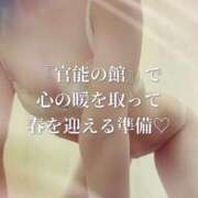 ヒメ日記 2025/03/04 11:45 投稿 まりな One More奥様　横浜関内店