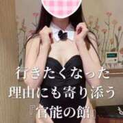 ヒメ日記 2025/04/07 17:15 投稿 まりな One More奥様　横浜関内店