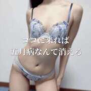 ヒメ日記 2025/05/12 00:45 投稿 まりな One More奥様　横浜関内店