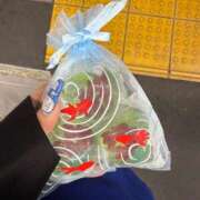 ヒメ日記 2025/06/14 16:25 投稿 れいさ とある風俗店♡やりすぎさーくる新宿大久保店♡で色んな無料オプションしてみました