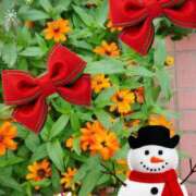 ヒメ日記 2024/12/12 10:53 投稿 野田つばさ ほっこりーヌ谷九店