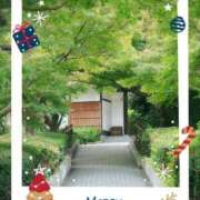 ヒメ日記 2024/12/14 11:16 投稿 野田つばさ ほっこりーヌ谷九店