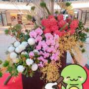 ヒメ日記 2025/01/16 10:31 投稿 野田つばさ ほっこりーヌ谷九店