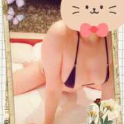 ヒメ日記 2025/02/20 11:21 投稿 野田つばさ ほっこりーヌ谷九店