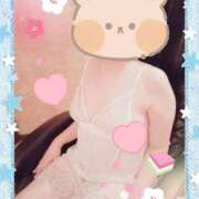 ヒメ日記 2025/02/22 10:30 投稿 野田つばさ ほっこりーヌ谷九店