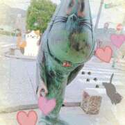 ヒメ日記 2025/03/13 09:29 投稿 野田つばさ ほっこりーヌ谷九店