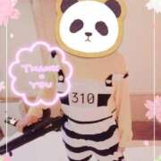 ヒメ日記 2025/03/29 10:56 投稿 野田つばさ ほっこりーヌ谷九店