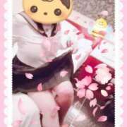 ヒメ日記 2025/03/29 11:05 投稿 野田つばさ ほっこりーヌ谷九店