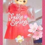 ヒメ日記 2025/03/30 10:38 投稿 野田つばさ ほっこりーヌ谷九店