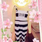 ヒメ日記 2025/03/30 10:43 投稿 野田つばさ ほっこりーヌ谷九店