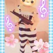 ヒメ日記 2025/04/19 10:46 投稿 野田つばさ ほっこりーヌ谷九店