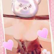 ヒメ日記 2025/04/28 11:39 投稿 野田つばさ ほっこりーヌ谷九店