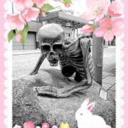 ヒメ日記 2025/05/04 10:11 投稿 野田つばさ ほっこりーヌ谷九店